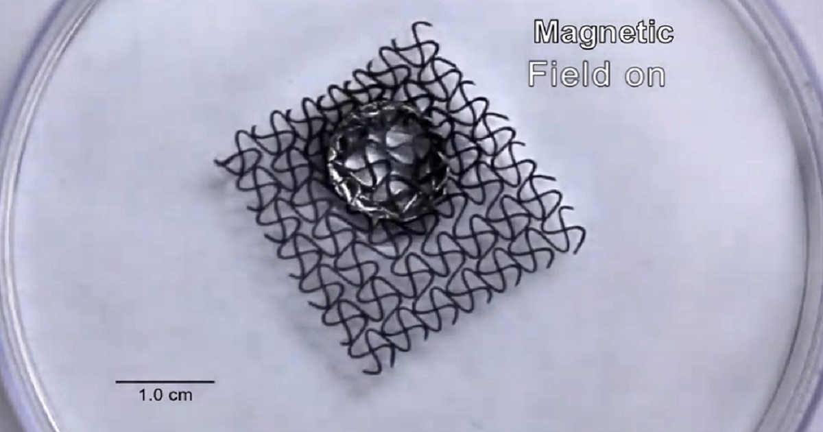 3D PRINTED MAGNETIC MESH ROBOTS CAN RESHAPE AND GRAB OBJECTS WHILE FLOATING ON WATER